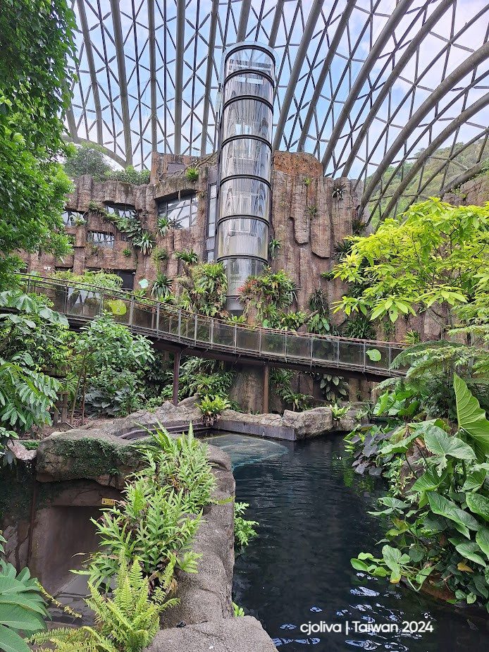 Indoor tropical dome at Taipei Zoo with glass roof, steel framework, elevator shaft, walkway bridge, water, and lush vegetation.