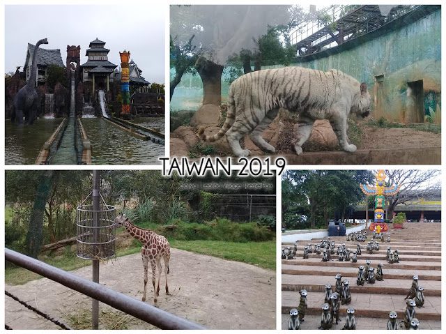 A four-part collage of Leofoo Village Theme Park in Taiwan, featuring a white tiger in its enclosure, a giraffe grazing, a "Mighty Mountain" log flume ride with dinosaur statues, and a group of meerkat statues on stone steps.