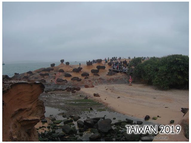Coastal geological landscape at Yehliu Geopark, Taiwan with eroded sandstone, mushroom‑shaped rock formations, ocean backdrop, and visitors walking along a designated path under an overcast sky.