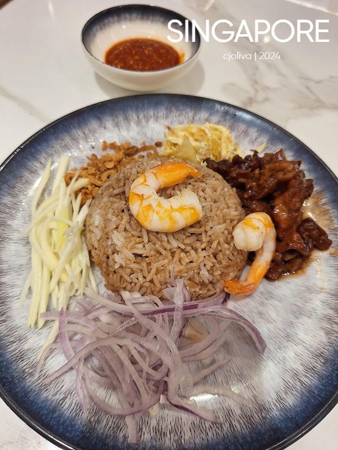 Plate of fried rice topped with shrimp, surrounded by sliced onions, shredded mango, fried shallots, scrambled egg strips, stir-fried meat, and chili sauce.