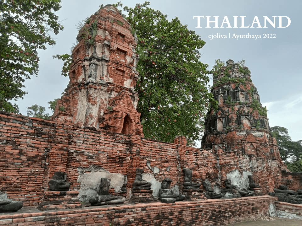 A detailed close-up of a weathered stone Buddha head enveloped by the aerial roots of an ancient banyan tree at Wat Mahathat in Ayutthaya, Thailand.
