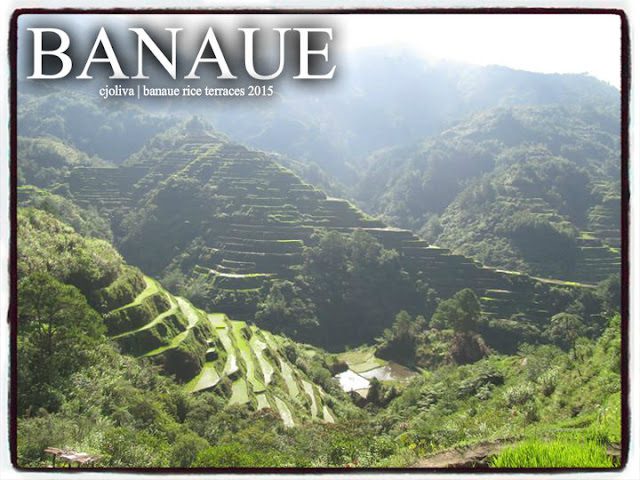 Sunlit Banaue rice terraces carved into the mountains with surrounding lush greenery under a bright sky in 2015.