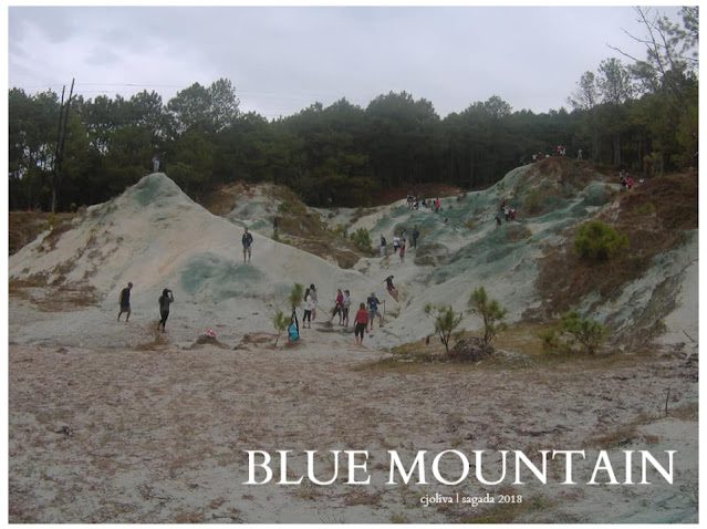 Visitors hiking and exploring the rocky, bluish terrain of Blue Mountain with a backdrop of pine trees under a cloudy sky in 2018.