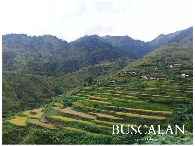 Scenic view of lush green rice terraces on mountain slopes with scattered houses in Buscalan, taken in 2018.