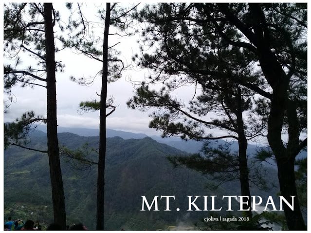 View of mountain ranges through pine trees at Mt. Kiltepan under a cloudy sky, photographed in 2018.