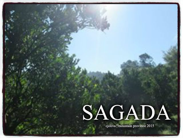 Lush green trees and foliage under a clear blue sky in Sagada, Mountain Province, Philippines.