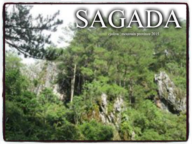 Lush pine forest and rocky limestone formations in Sagada, Mountain Province, Philippines under clear skies.