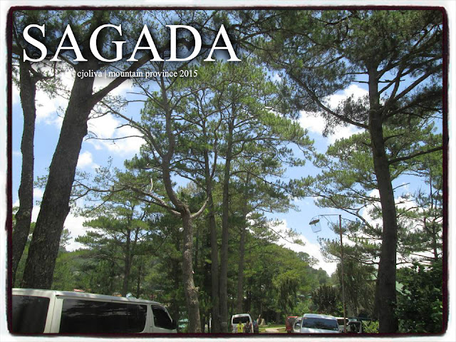 Pine trees under a bright blue sky with scattered clouds and vehicles parked along a roadside in Sagada, Mountain Province.