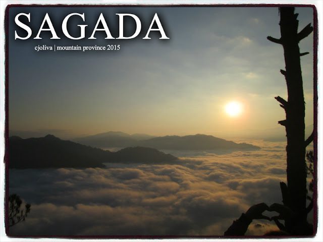 Sunrise casting golden light over cloud-filled valleys and mountain ridges in Sagada, Mountain Province, with a silhouetted tree in the foreground.