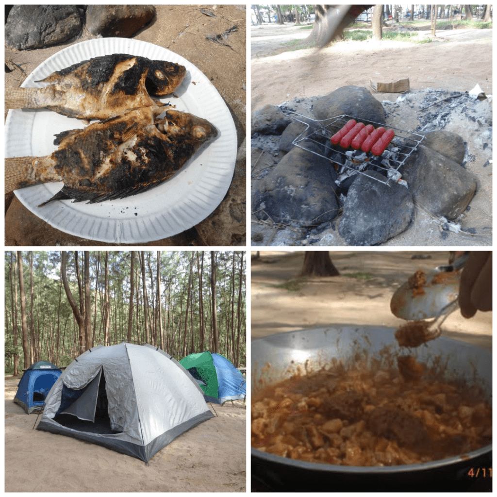 Collage of forest camping scenes showing grilled fish, campfire sausages, tents among trees, and a communal meal in a large pan