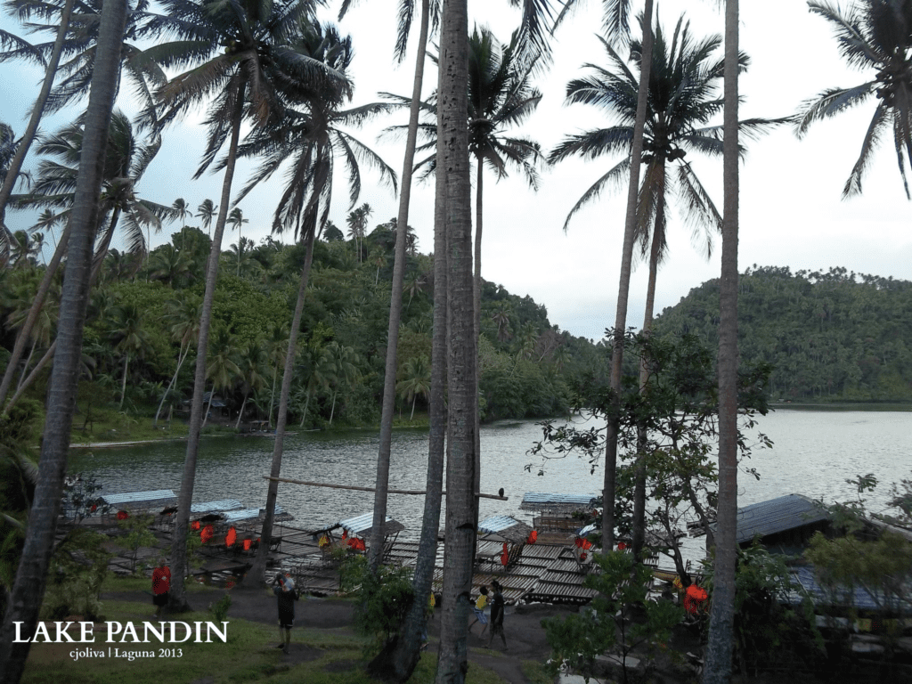 View of Lake Pandin with bamboo rafts and life jackets along the shore, framed by tall palm trees and lush green hills in Laguna, 2013.