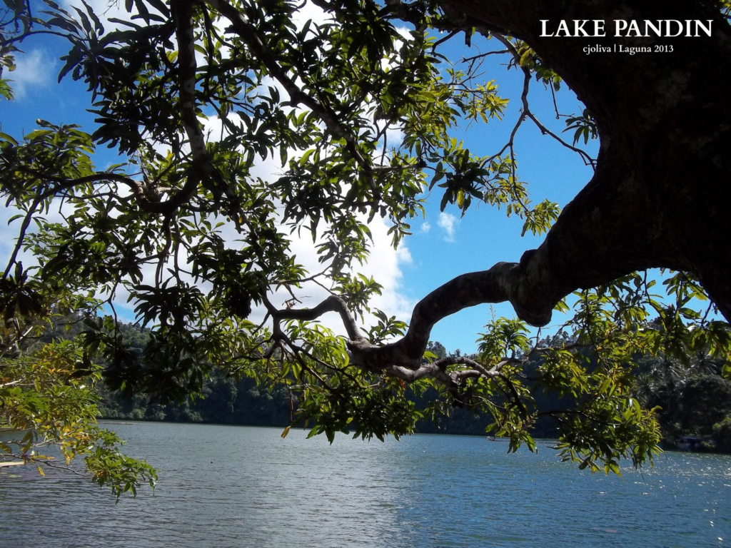 Tree branches with green leaves framing the view of calm lake waters and forested hills under a blue sky at Lake Pandin, Laguna, 2013.