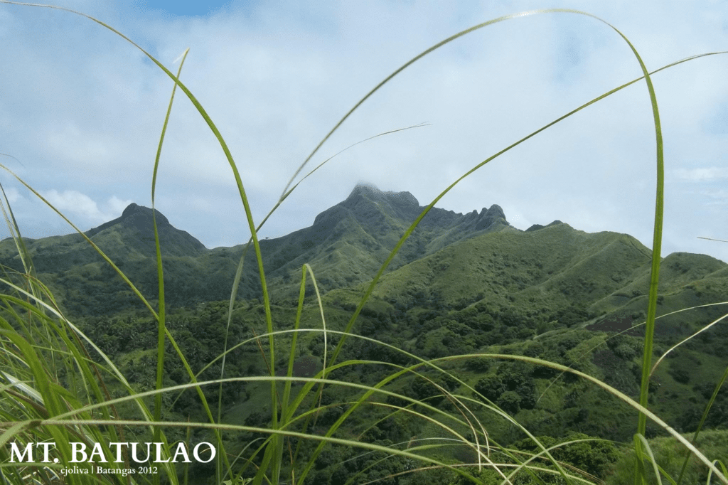 Lush green mountain peaks of Mt. Batulao with blue sky and tall grass blades in the foreground in Batangas