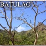 Mt. Batulao's mountain peaks framed by a leafless tree under a clear blue sky in Batangas