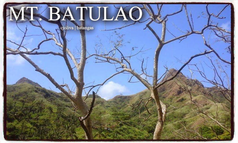 Mt. Batulao's mountain peaks framed by a leafless tree under a clear blue sky in Batangas