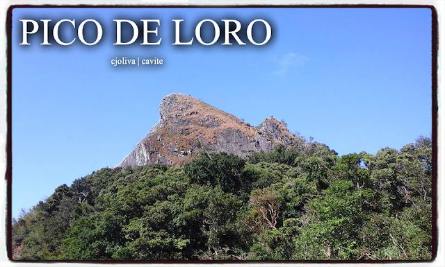 A view of the rocky summit of Mt. Pico de Loro against a clear blue sky, showing the unique parrot-beak-shaped peak in Cavite.