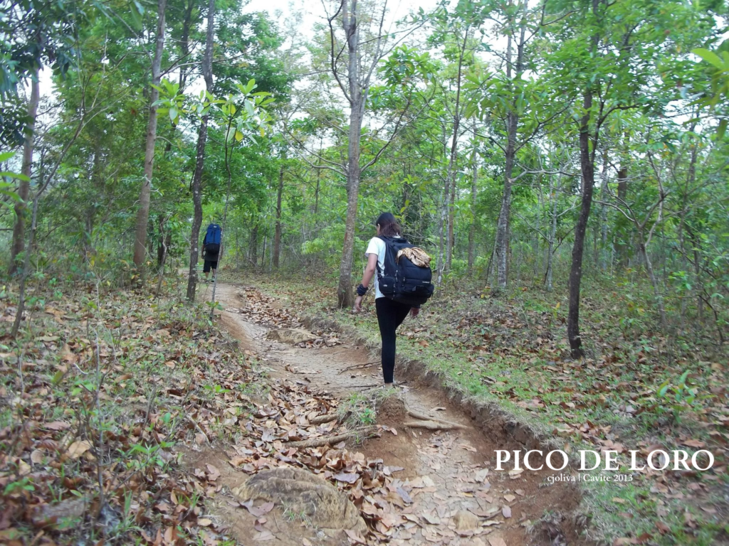 A female hiker from behind with a black backpack, walking on a rocky forest trail on the way to the Pico de Loro campsite during a birthday climb.