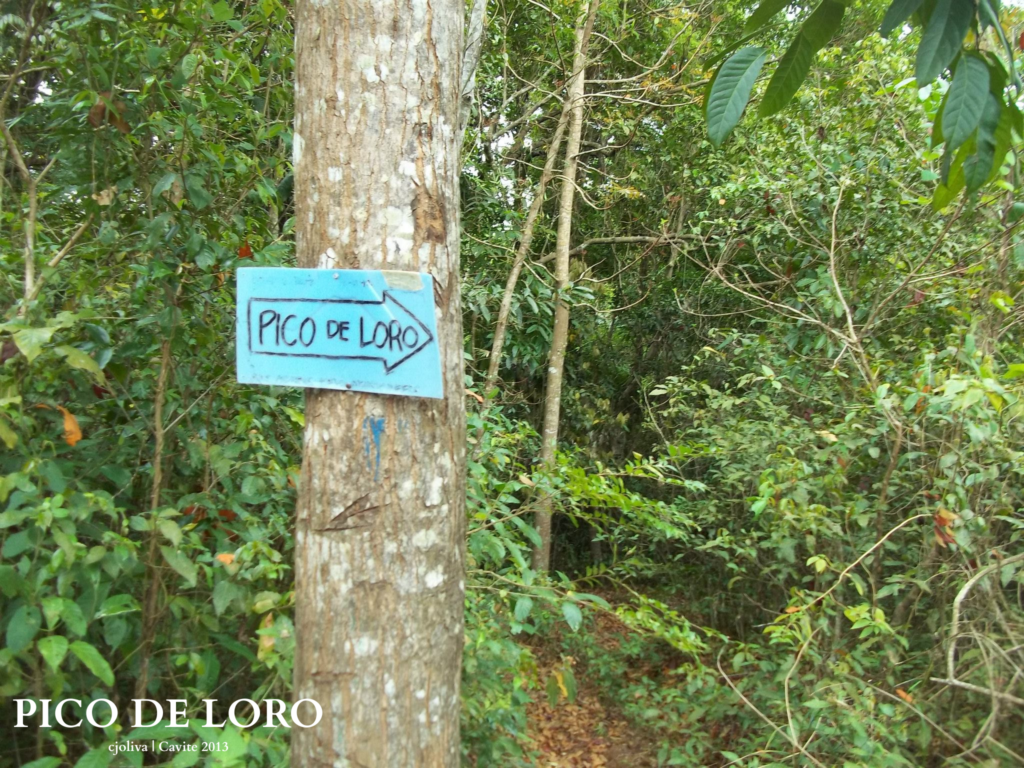 A blue hand-painted wooden sign on a tree trunk pointing the way to Pico de Loro trail.