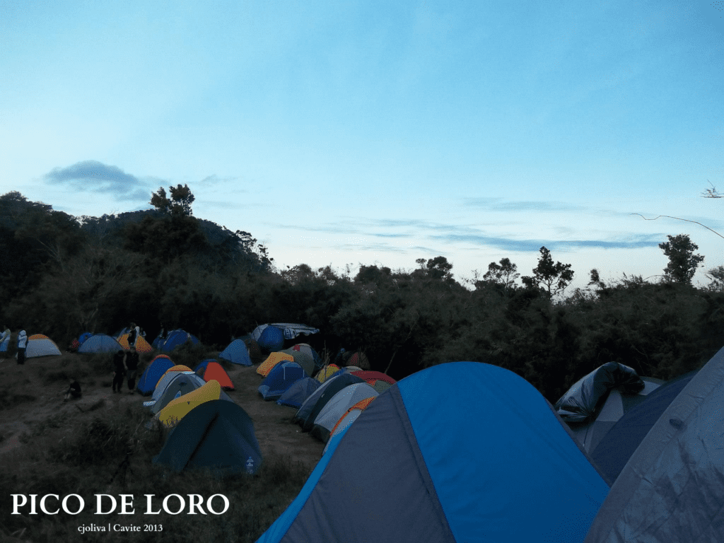 A wide view of several colorful camping tents pitched at the Pico de Loro summit campsite under a clear blue sky.