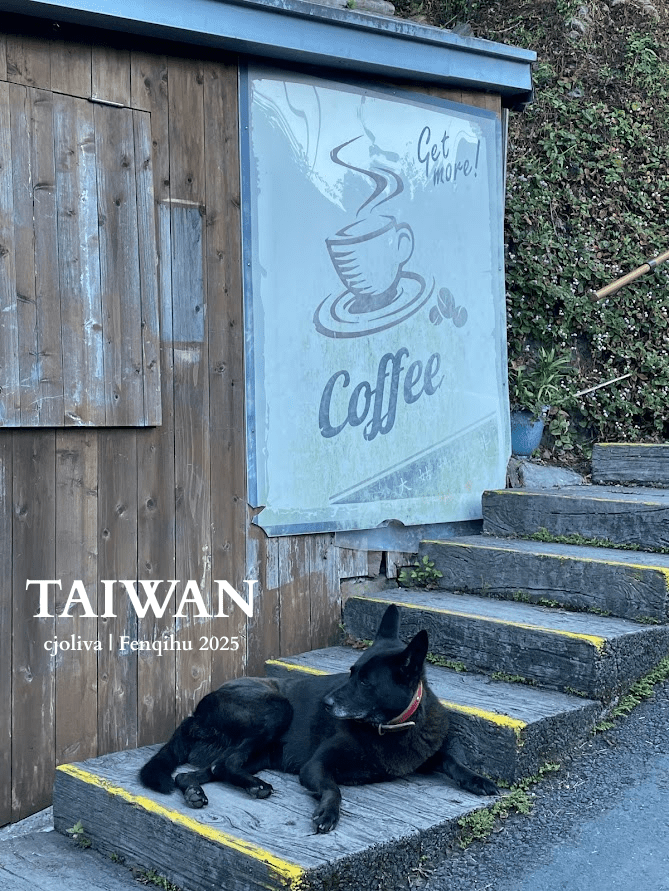 A black dog resting on wooden steps next to a rustic coffee shop sign that says "Get More! Coffee" in the mountain village of Fenqihu, Taiwan.