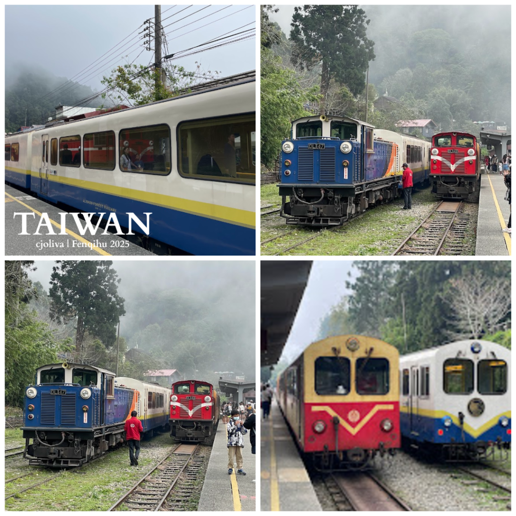 A four-photo collage of various Alishan Forest Railway trains at Fenqihu Station. One image features the blue DL-47 locomotive next to a classic red engine, while others show the sleek modern carriages and trains side-by-side on the tracks under a foggy sky.