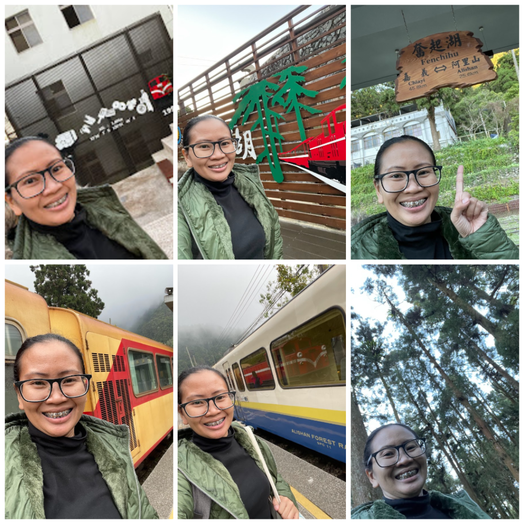 A six-photo selfie collage of a woman with glasses and a green jacket in various locations around Fenqihu, Taiwan. She is pictured in front of railway murals, the Fenqihu station sign, Alishan forest trains, and looking up at a canopy of tall cedar trees.