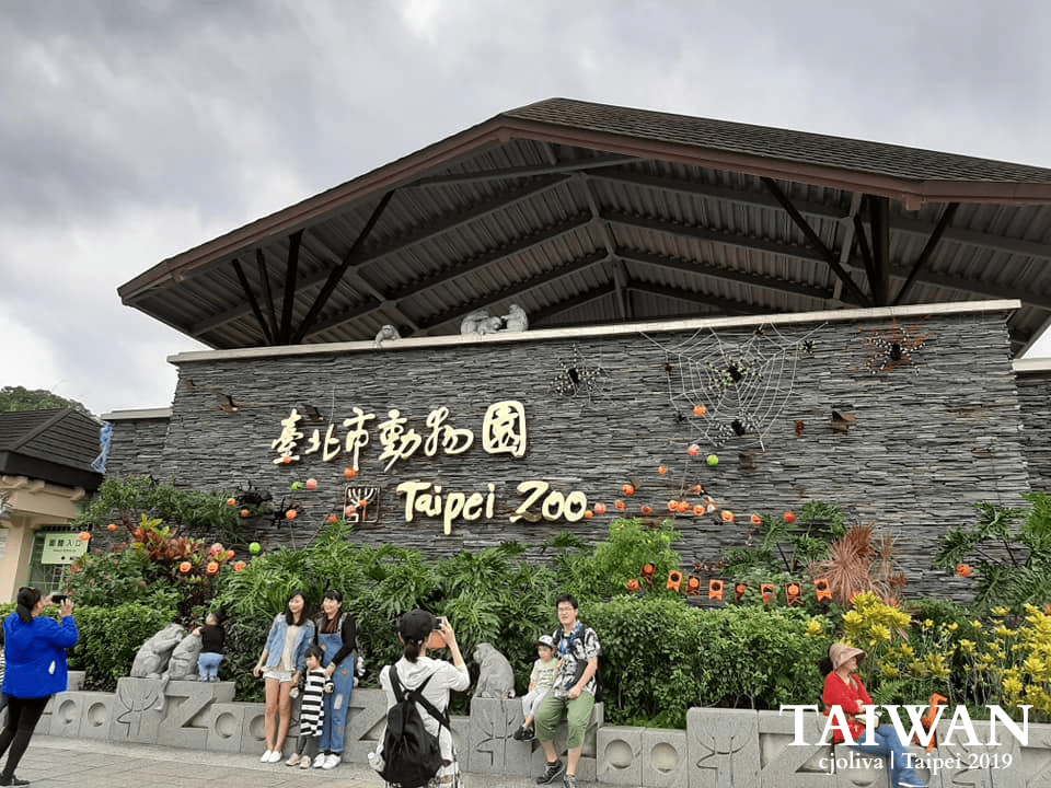 Taipei in Motion: From Taipei Zoo Paths to City&nbsp;Lights