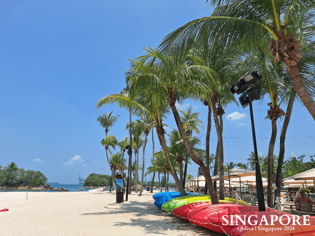 Colorful kayaks on white sand beneath tall palm trees with a clear blue sky and calm waters at Sentosa, Singapore.
