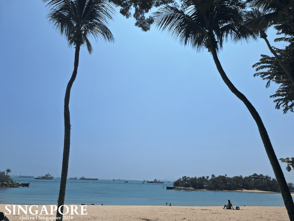 Sandy beach in Sentosa, Singapore framed by palm trees, calm blue sea, distant cargo ships, and a small green island under a clear sunny sky.