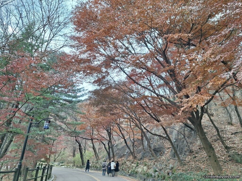 Visitors walking along an autumn forest path near N-Seoul Tower in Seoul, surrounded by red and orange leaves and lantern-lit streetlamps.