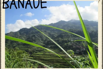 A scenic view of the lush green Banaue Rice Terraces in Ifugao, Philippines, framed by long green grass with mountains and clouds in the background.