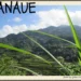 A scenic view of the lush green Banaue Rice Terraces in Ifugao, Philippines, framed by long green grass with mountains and clouds in the background.