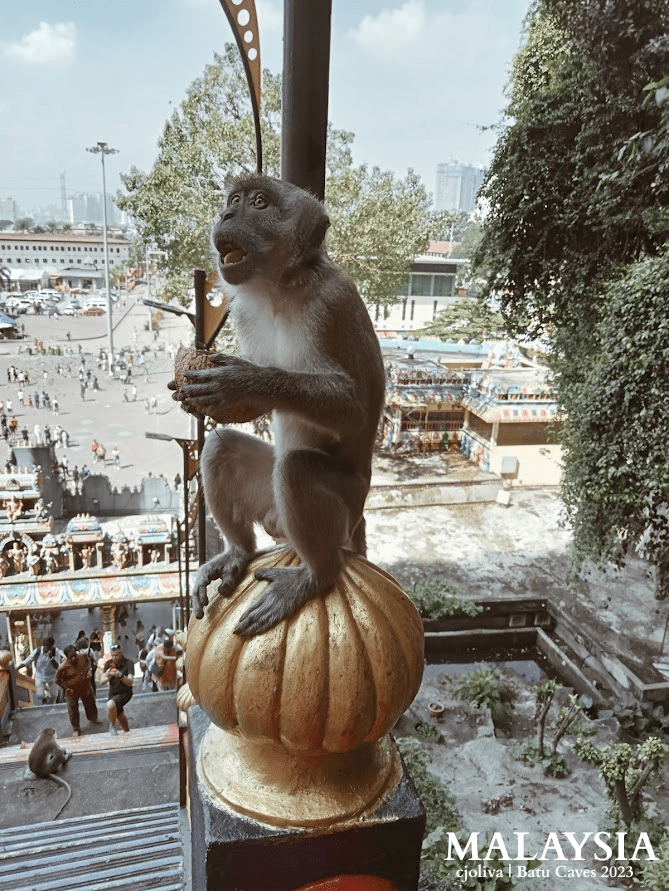 Monkey holding a coconut while sitting on a golden temple finial at Batu Caves in Malaysia, with colorful structures, visitors, and greenery in the background.