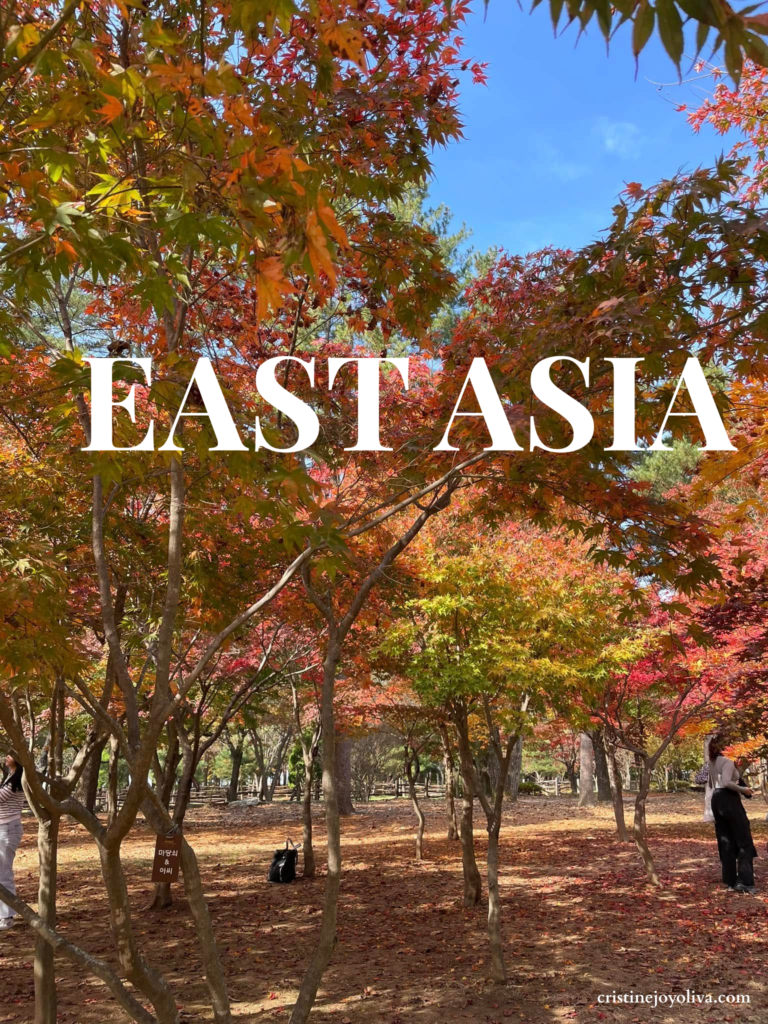 A grove of Japanese Maple trees on Nami Island, South Korea, featuring a dense canopy of red, orange, and yellow leaves against a clear blue sky with a leaf-covered ground below.