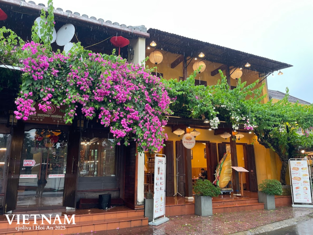 Street scene in Hoi An, Vietnam, showing a yellow building with lush greenery and cascading pink and white bougainvillea flowers, traditional lanterns, a baguette sculpture near the entrance, and wet pavement reflecting the surroundings during light rain.