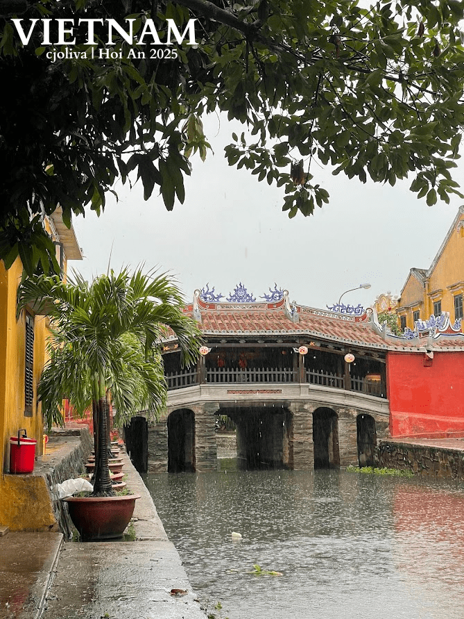 Japanese Covered Bridge in Hoi An, Vietnam, photographed on a rainy day with a tiled roof, ornate carvings, canal reflections, a yellow building with potted plants, and tree leaves framing the scene.