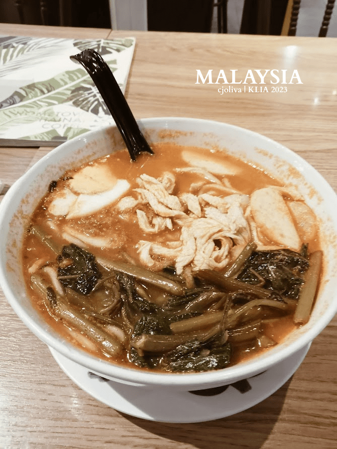 Malaysian noodle soup served at Kuala Lumpur International Airport, with shredded chicken, boiled egg, greens, and fish cake slices in spicy broth.