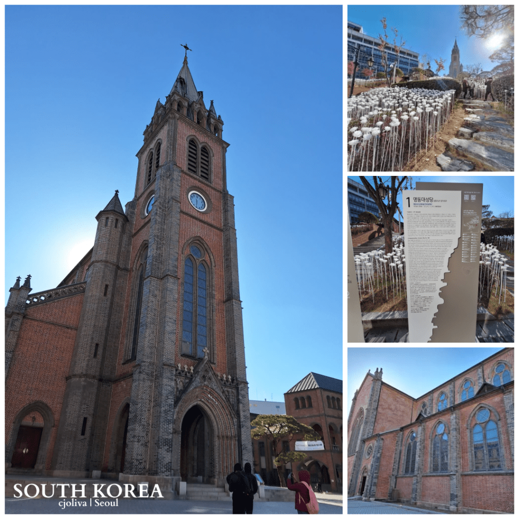 A collage of Myeongdong Cathedral in Seoul featuring the red brick Gothic bell tower, a garden of white LED roses, and an informational plaque.