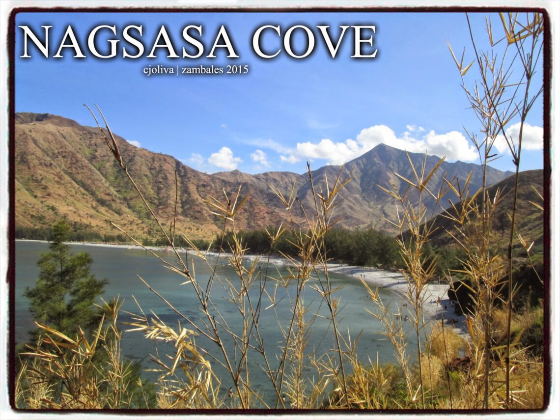 A panoramic view of Nagsasa Cove in Zambales, Philippines, featuring a crescent-shaped beach, clear blue water, and brown mountains under a bright sky, framed by dry reeds.