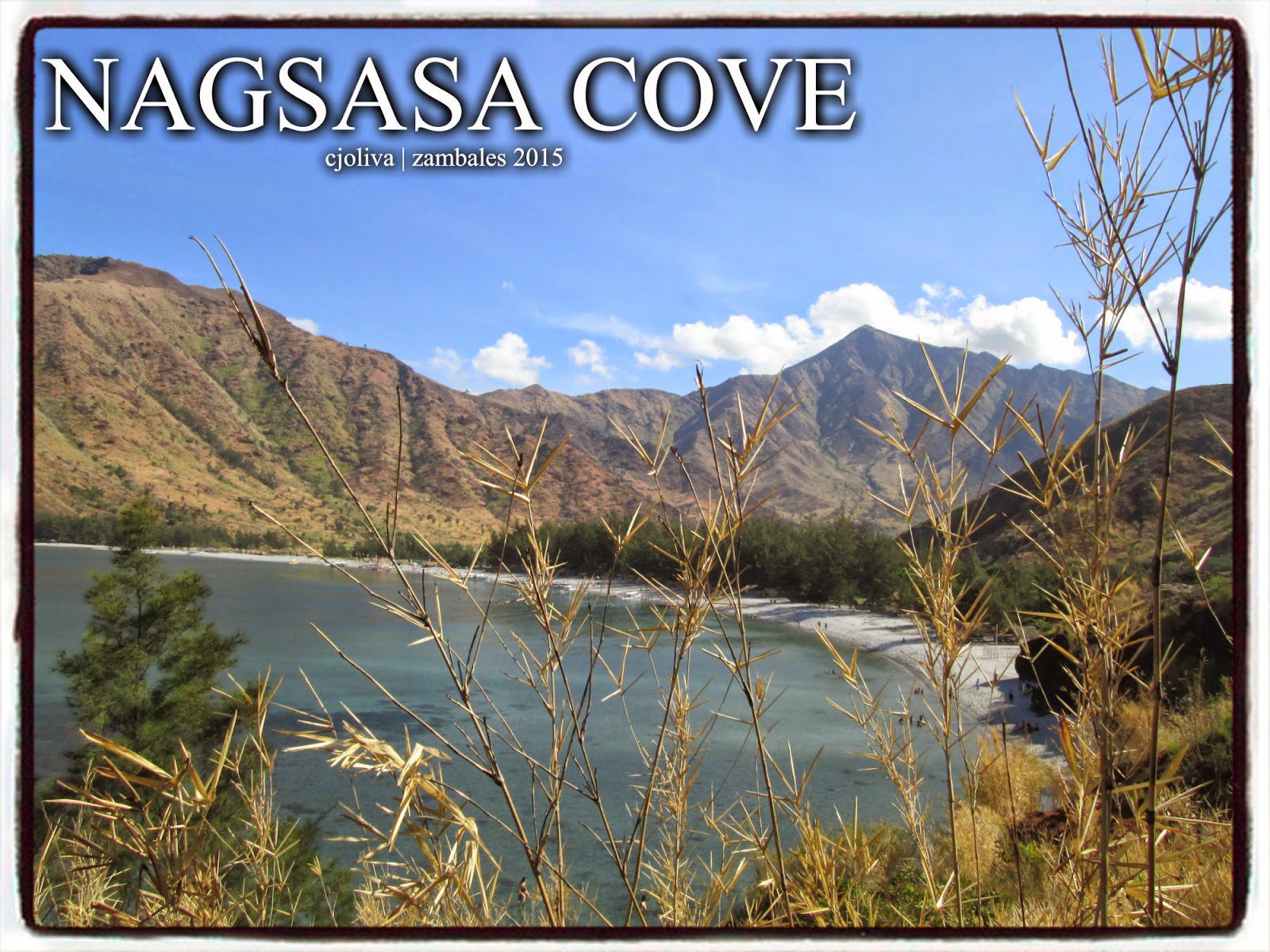 A panoramic view of Nagsasa Cove in Zambales, Philippines, featuring a crescent-shaped beach, clear blue water, and brown mountains under a bright sky, framed by dry reeds.