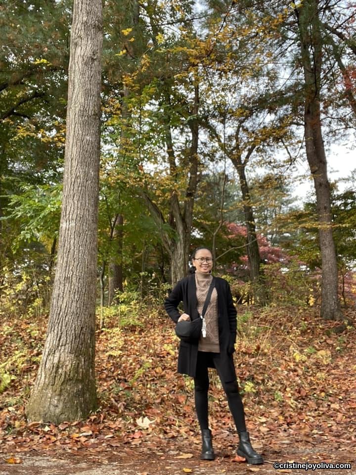 Person standing on a leaf‑covered path surrounded by tall trees with autumn foliage in shades of green, yellow, and red on Nami Island, South Korea.