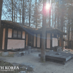 Traditional Korean thatched-roof house on Nami Island, South Korea, surrounded by tall trees with cooking pots and firewood outside.