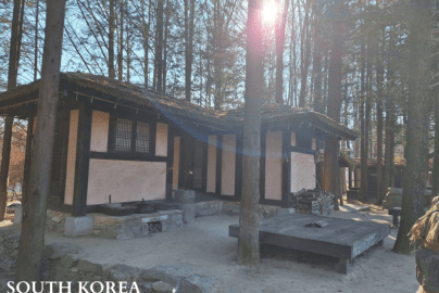 Traditional Korean thatched-roof house on Nami Island, South Korea, surrounded by tall trees with cooking pots and firewood outside.