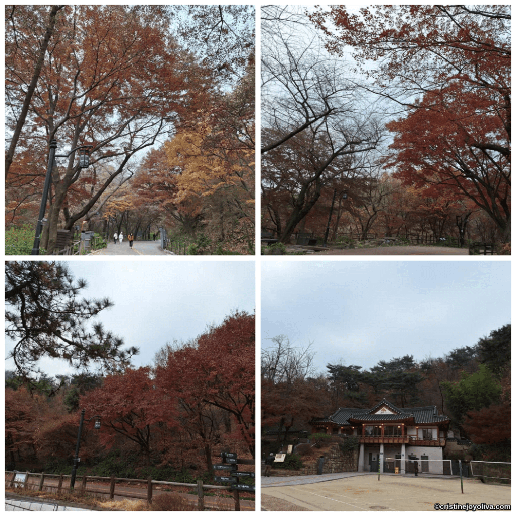 Collage of autumn views along Namsan Trail in Seoul, showing forest paths with red and orange foliage, wooden fences with signs, and a traditional Korean building nestled among trees.