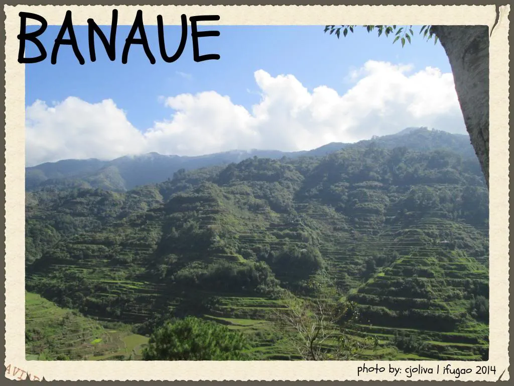 A wide landscape view of the stepped green rice terraces carved into the steep mountainsides of Banaue, Ifugao, under a bright blue sky with white clouds.