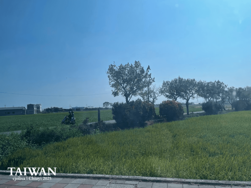 Rural Chiayi landscape with paved sidewalk, green crop fields, scooter on narrow road, and clear blue sky in Taiwan