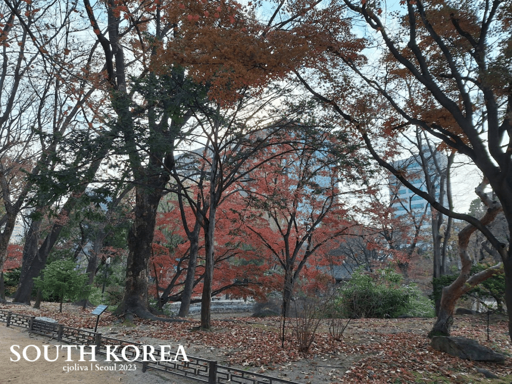 Autumn park in Seoul, South Korea, with vibrant red, orange, and brown foliage, fallen leaves on the ground, and modern buildings visible through the trees.