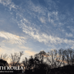 Namsan Seoul Tower silhouetted against a colorful sunrise sky with wispy clouds and bare trees in Seoul, South Korea.