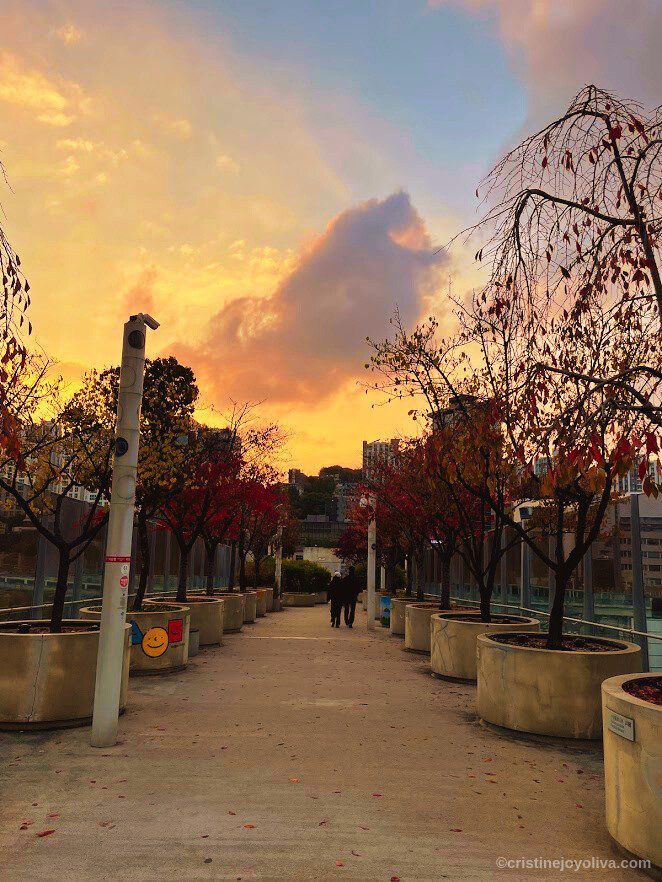 Two travelers walk along Seoullo 7017’s tree-lined path at sunset, framed by autumn leaves and a glowing cityscape.