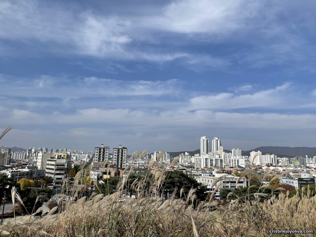 Panoramic view of Suwon, South Korea, showing tall grasses and rocky terrain in the foreground, dense urban skyline of mid-rise and high-rise buildings, and mountains in the background under a partly cloudy sky.